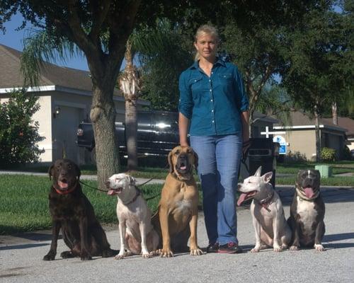 Bayshore Dog Training