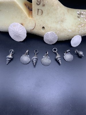 Seashells I got with my son on Popham Beach and molded and cast in sterling silver