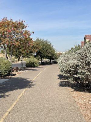 Pat O'Rourke Memorial Trail