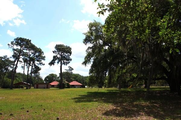 Spirit of Life UU - a spiritual community perched on a five acre slice of Real Florida.