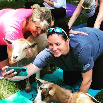 Selfies with goaties!