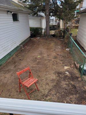 This is our yard before Michael and his crew came.