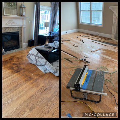 Lacing in of new hardwoods