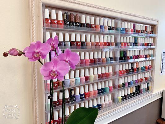 We do gel manicures and gel pedicures, this is the selection of gel colors that customers can pick.