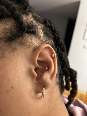 Conch and helix