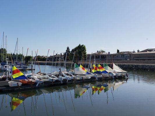 Sailing camp boats are ready to go.