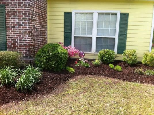 Added fresh Mulch