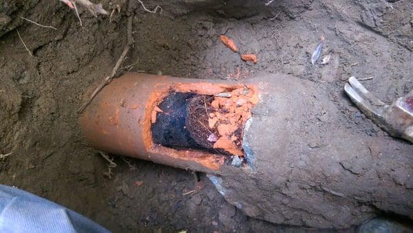 blocked 4" sewer, restricting flow inside the complete diameter of the pipe.