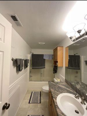 Bathroom remodel