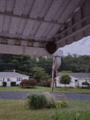 Original Bald Faced Hornets nest. Ugh!