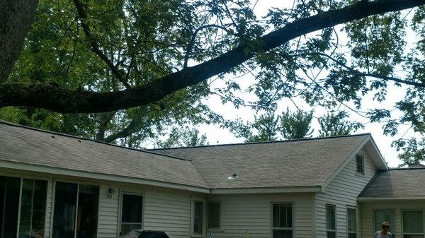 Roof after cleaning