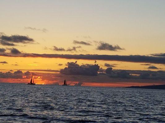 Sails in the sunset