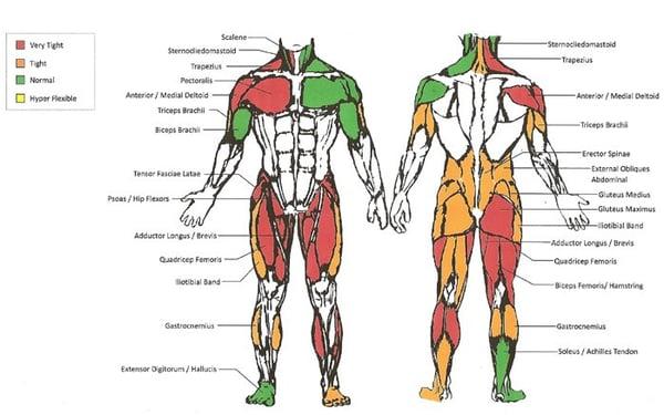 Dynamic Body Stretching Flexibility Assessment Program