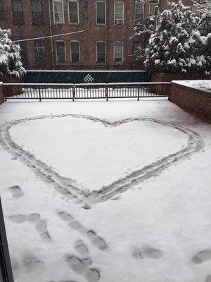 We love our residents winter, spring, summer and fall!