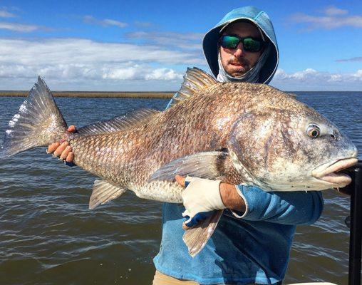 Fly fishing in Louisiana for Black drum in Louisiana