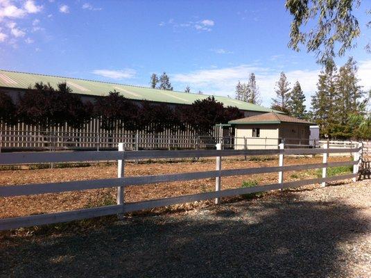 70' x 80' boarder's horse paddock w/ individual stall / barn.