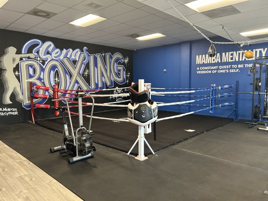 Boxing ring