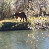 Uncompahgre River, walking path is accessible from the Montrose River Meadows Community.