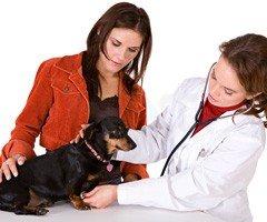 Boarding at our facility is by appointment only, Owners must have written proof showing that their pet's vaccination are curr...