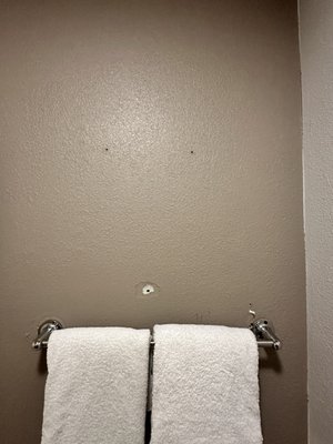 Bathroom holes