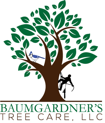 Baumgardner's Tree Care