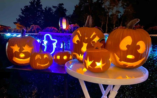 Jack-O-Lanterns Photo by Joe S.; Resident in Port Washington