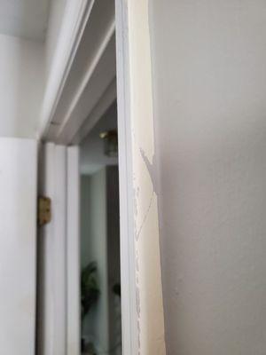 Paint on door frame.