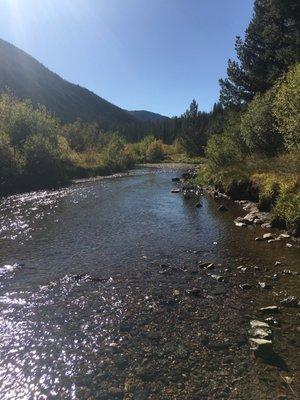 Blue River behind condo