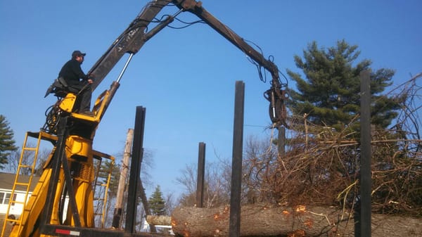 Wally's Tree and Crane Service