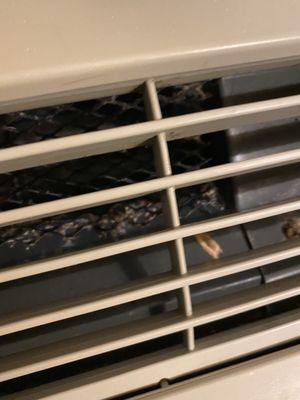 The AC had weird "bird poop" looking stuff in it.