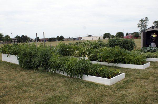 Mosaic Garden - Supplying our community with fresh fruits and vegetables.