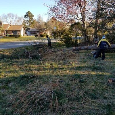 Tree Removal Services

Beast Trees LLC, Tree Removal and Stump Grinding Services. 
Call Today To Schedule a Free Estimate
843...