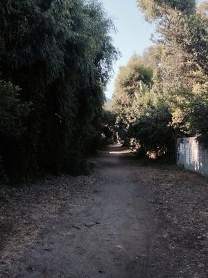 Homes on both sides with a peekaboo view of the San Gabriel Mountains