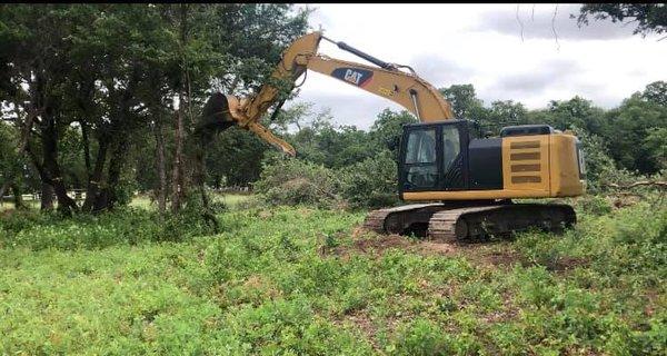 It's a nice day to do some land clearing! Free Estimates! Call us today!