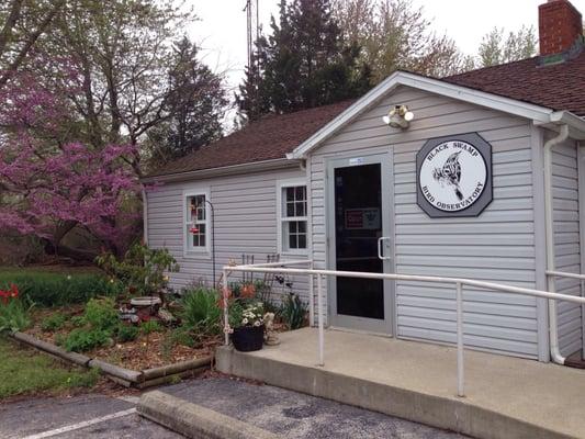 Black Swamp Bird Observatory