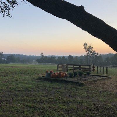 FarmStyle at Tuttle Farms