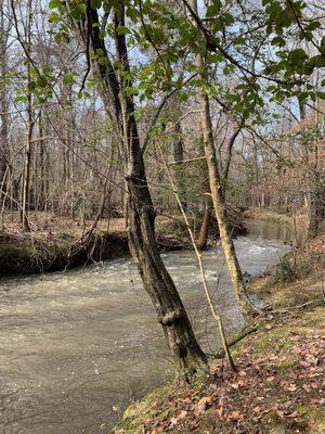 Swift Creek Greenway