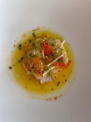 Scallop crudo