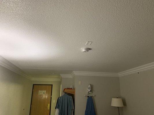 Reference picture of smoke alarm