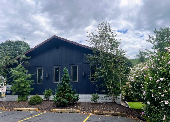 A Rose of Sharon bush blooming at our Law Office in Archbald, PA. (Personal Injury, Wills, Estates, and Probate, Real Estate Law, Criminal)