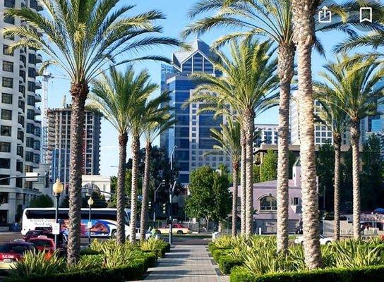 Our office at Emerald Plaza, San Diego