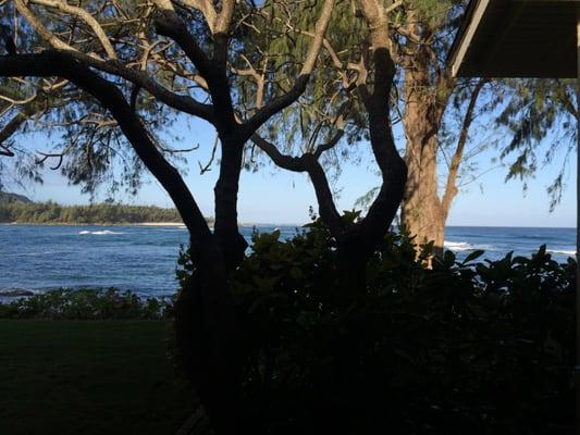 Turtle Bay cottage room