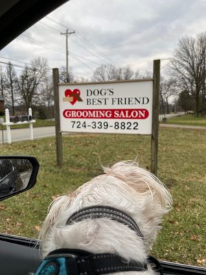 Dog’s Best Friend Grooming Salon