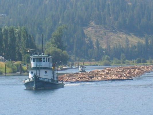 Monitoring the Logging-Patch