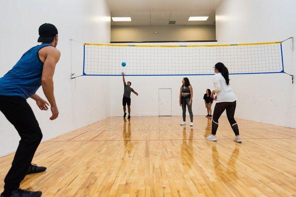 Multi-Sport Court (volleyball and badminton)