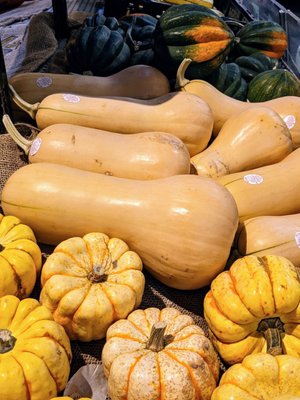 Squashes!