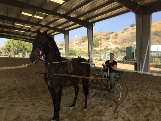 Driving under the covered arena,