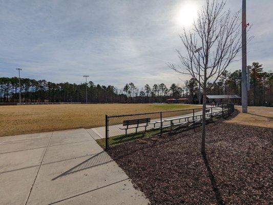 Cricket field