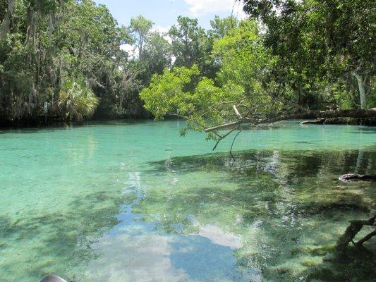 Three Sisters Springs, Crystal River, Florida