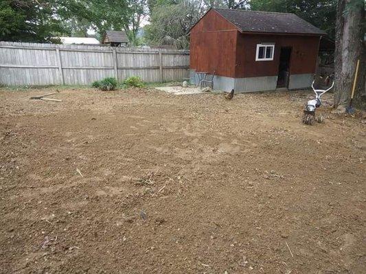 Backyard I leveled out and sowed in grass